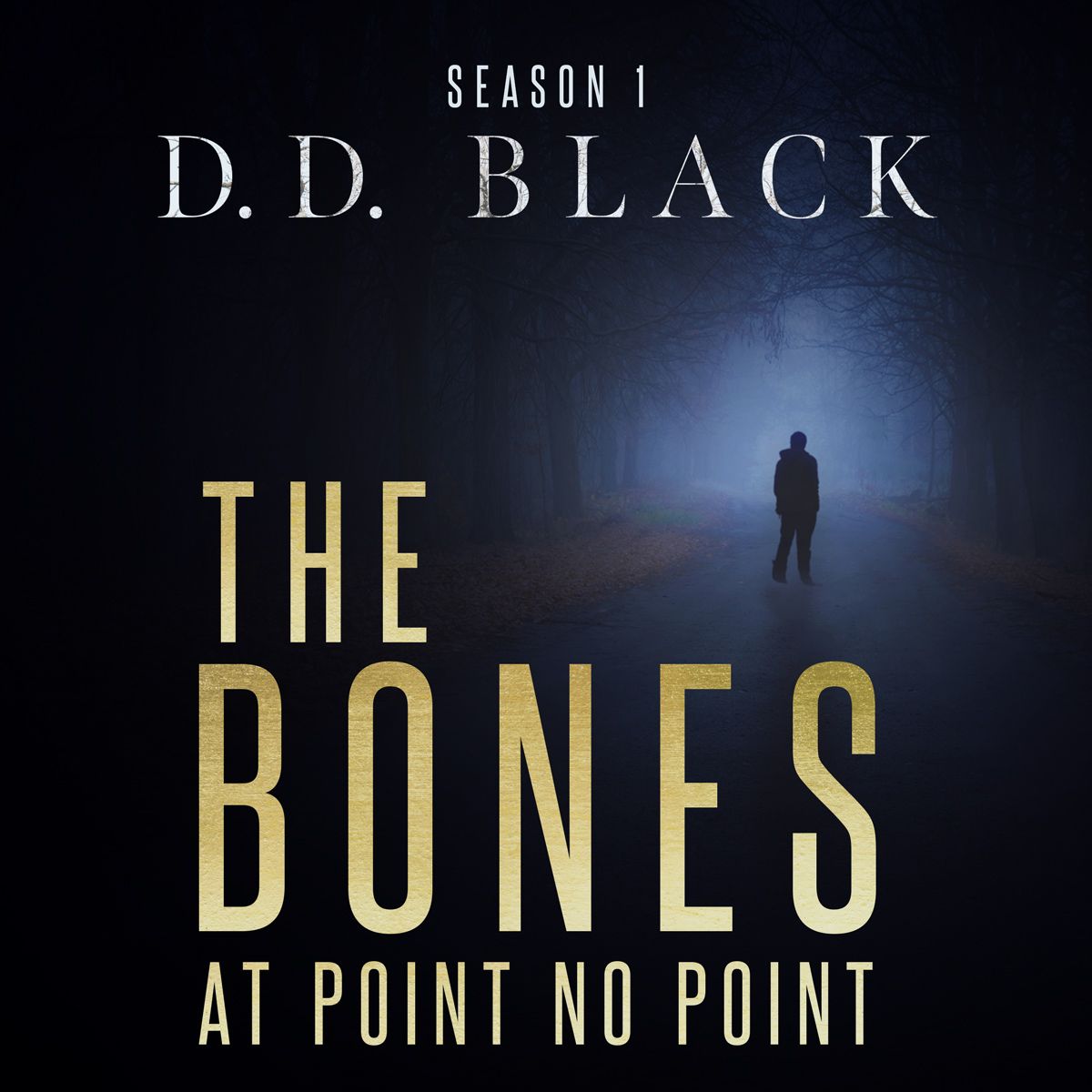 The Bones at Point No Point - Season 1 cover