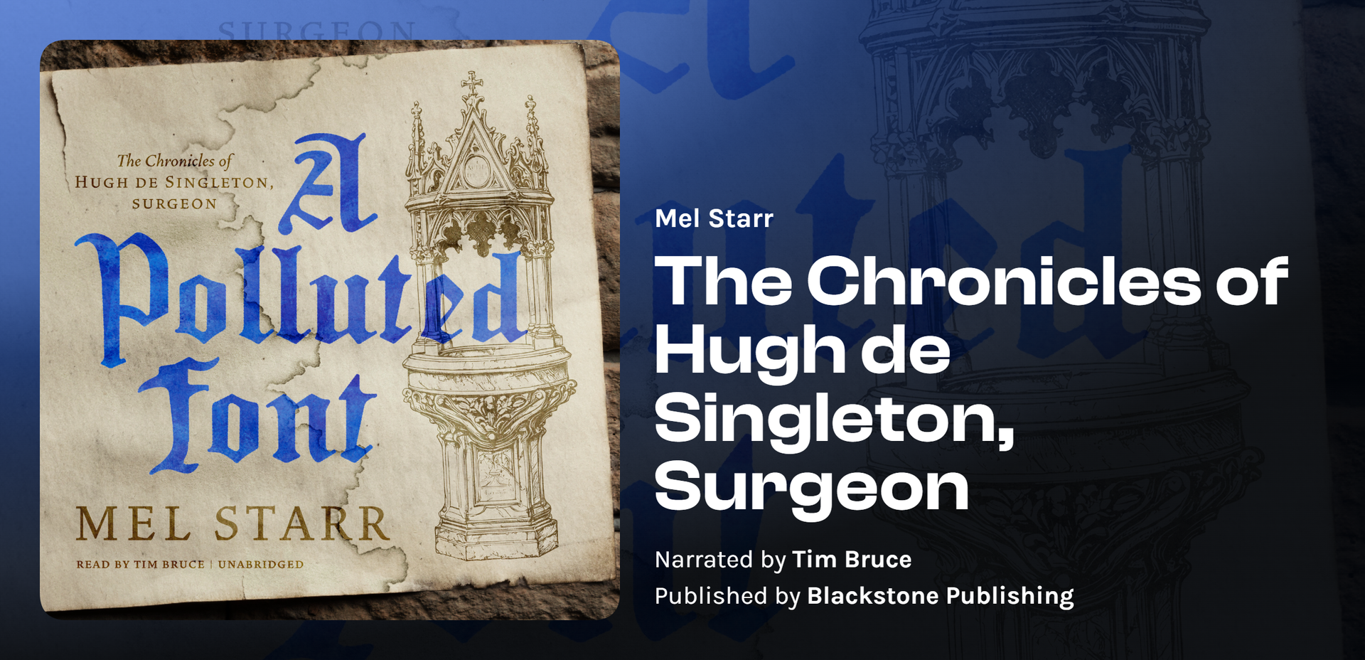 The Chronicles of Hugh de Singleton, Surgeon