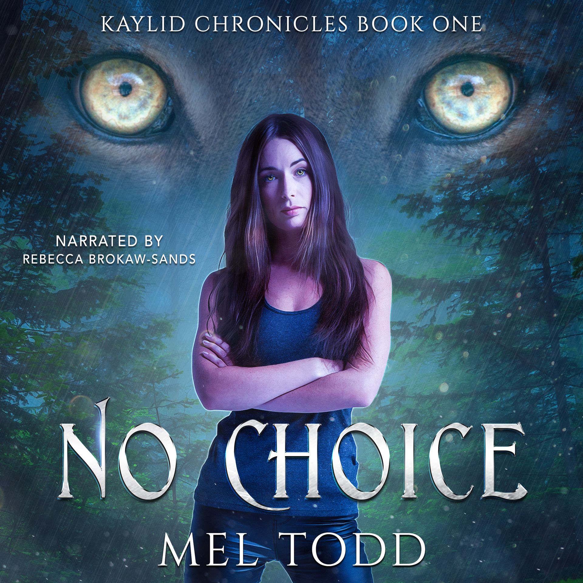 Kaylid Chronicles - Bundle cover