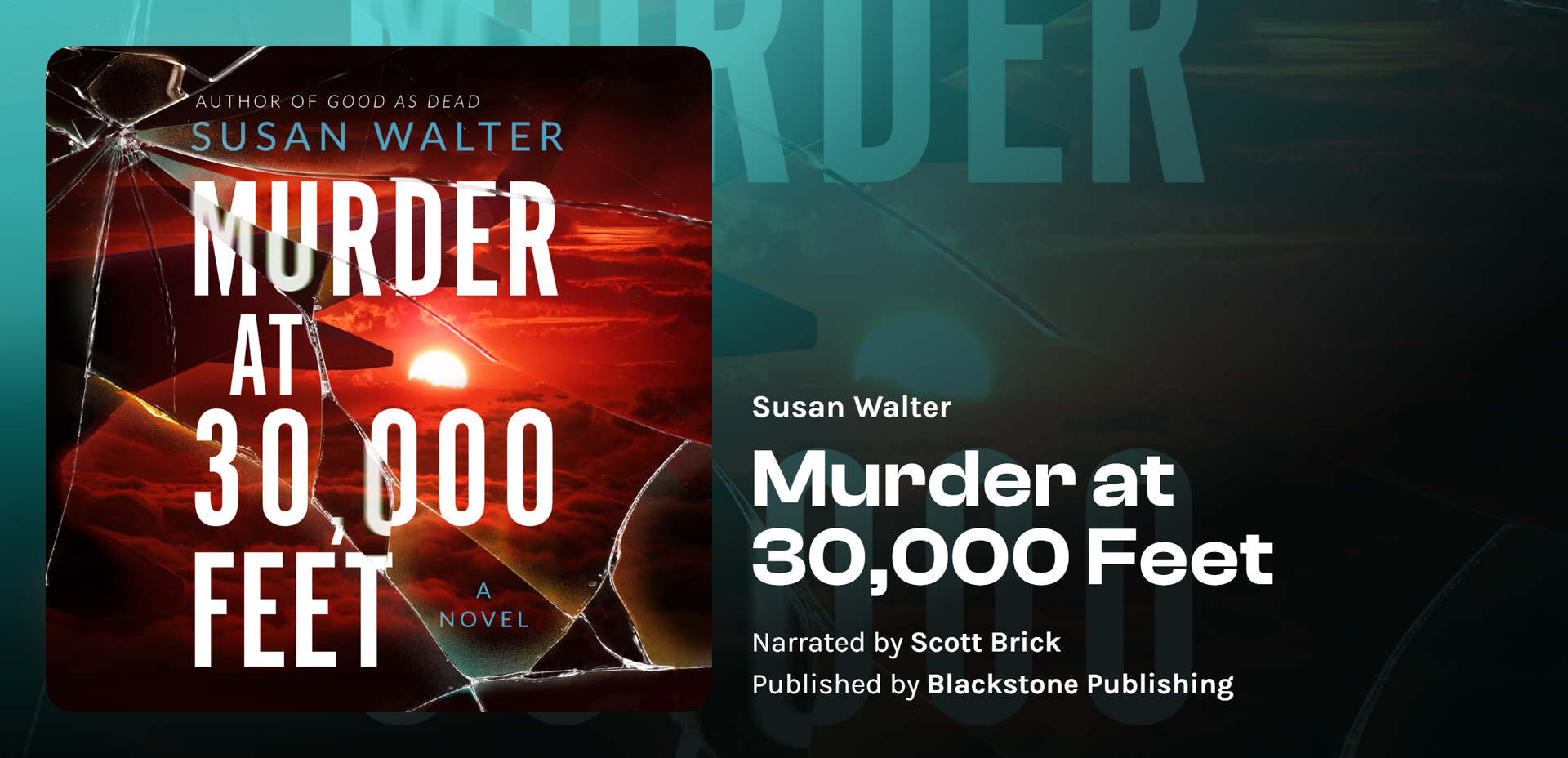 Murder at 30,000 Feet